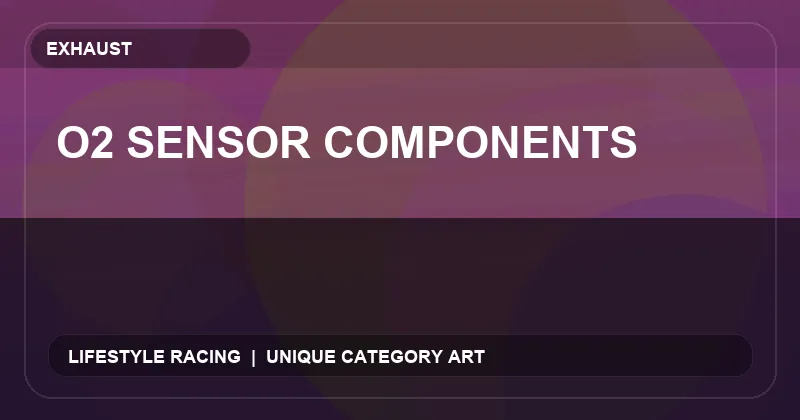 O2 Sensor Components